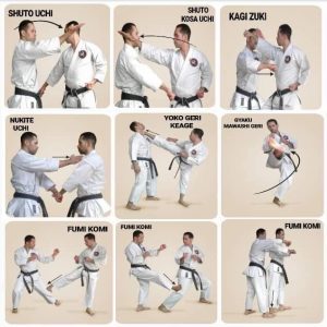 self defense karate moves
